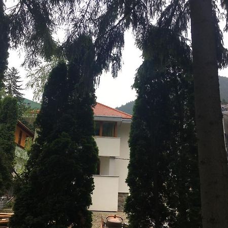 Manyi Villa Baile Tusnad Bagian luar foto