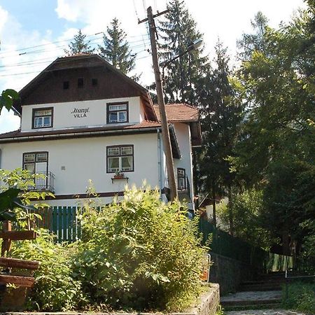 Manyi Villa Baile Tusnad Bagian luar foto