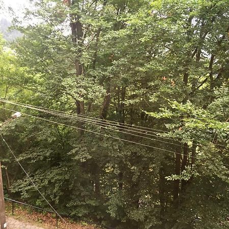 Manyi Villa Baile Tusnad Bagian luar foto