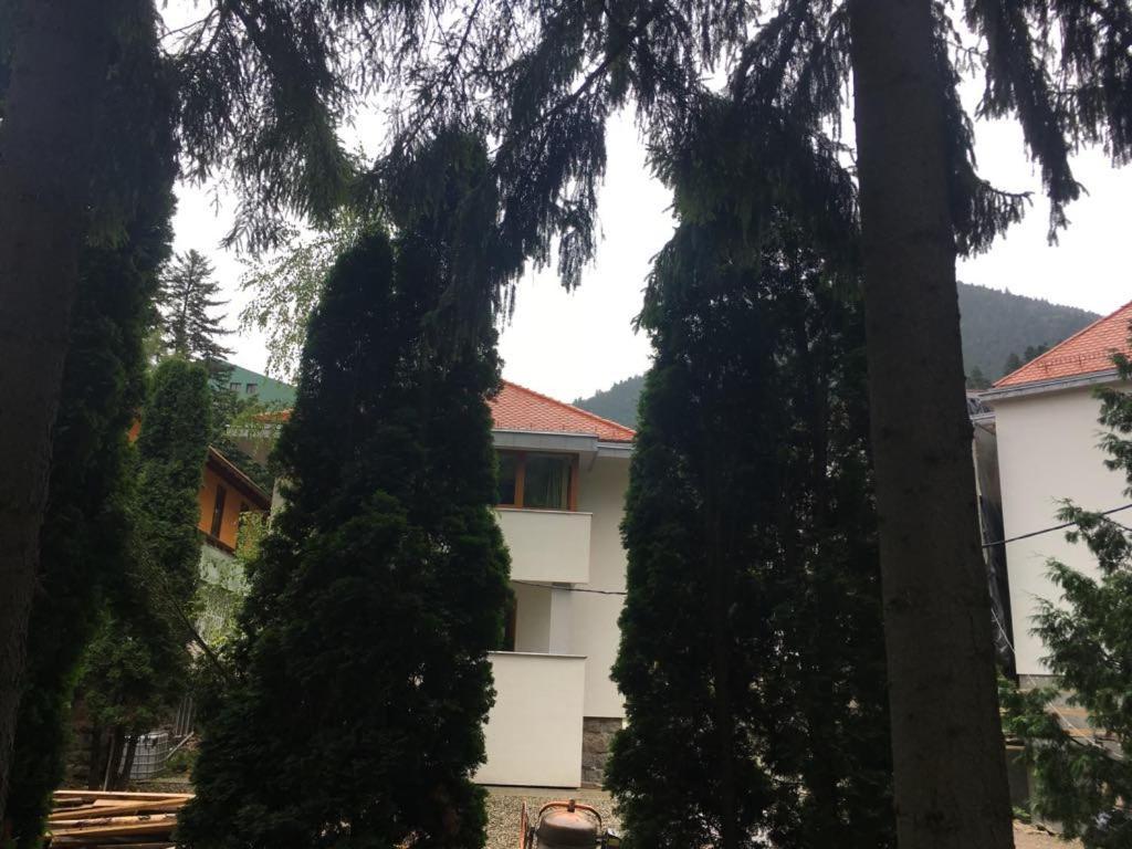 Manyi Villa Baile Tusnad Bagian luar foto