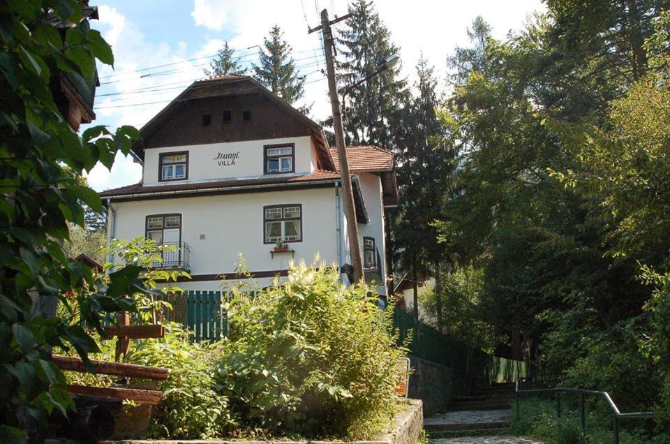 Manyi Villa Baile Tusnad Bagian luar foto