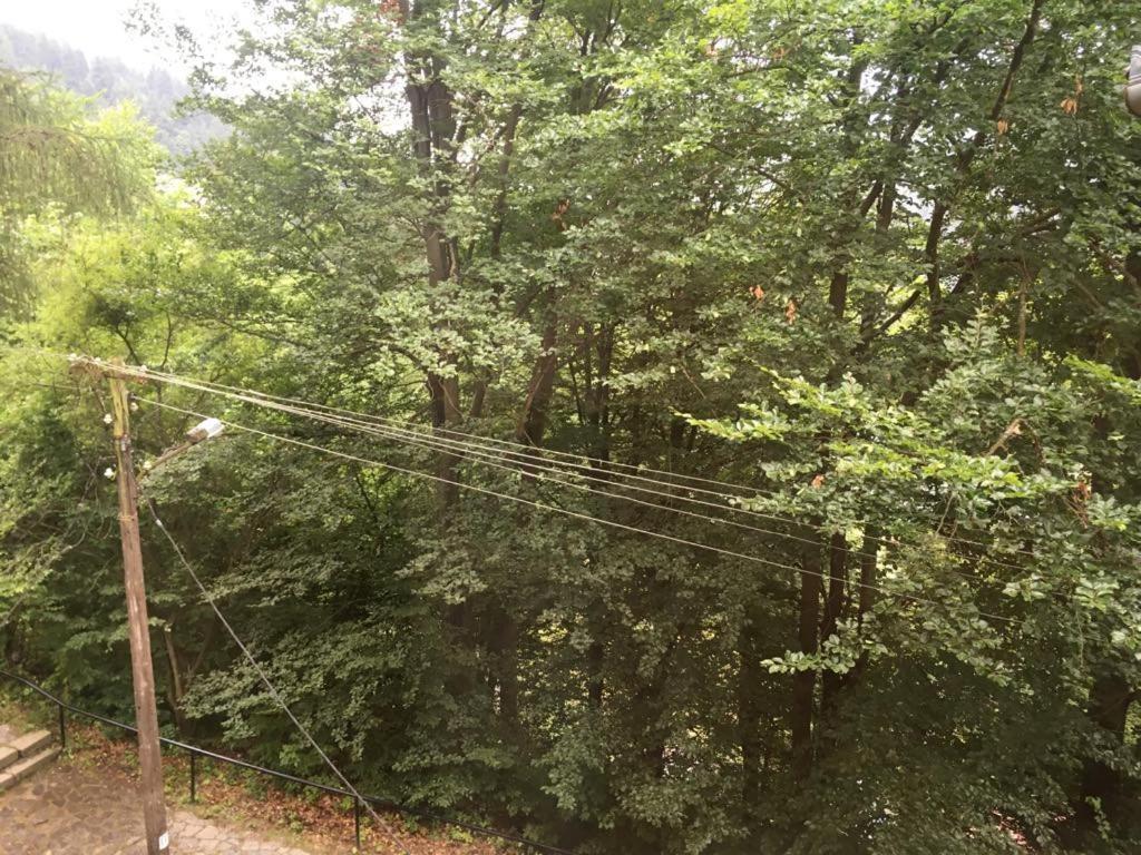 Manyi Villa Baile Tusnad Bagian luar foto