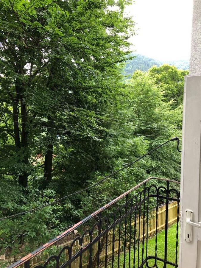 Manyi Villa Baile Tusnad Bagian luar foto